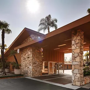 Hotel Western Pine Tree Chino